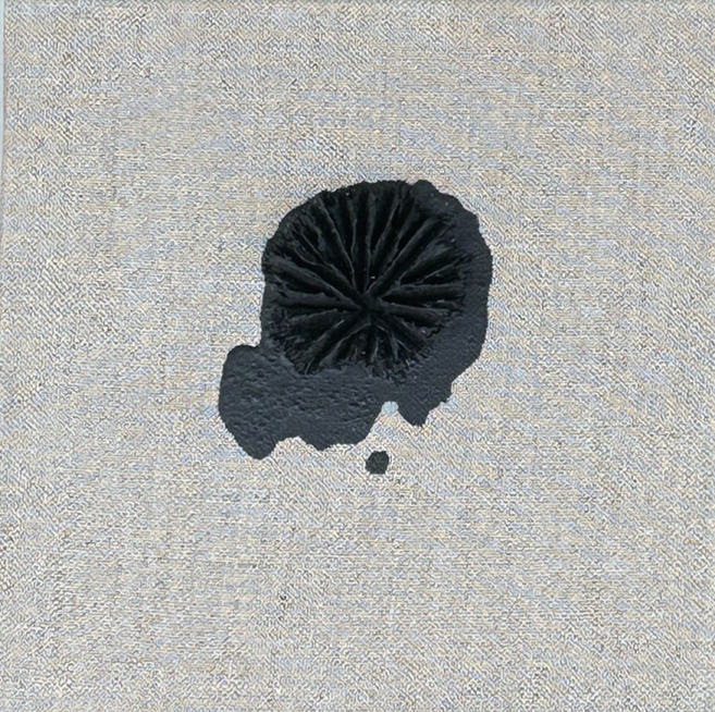 백승수 Bloom