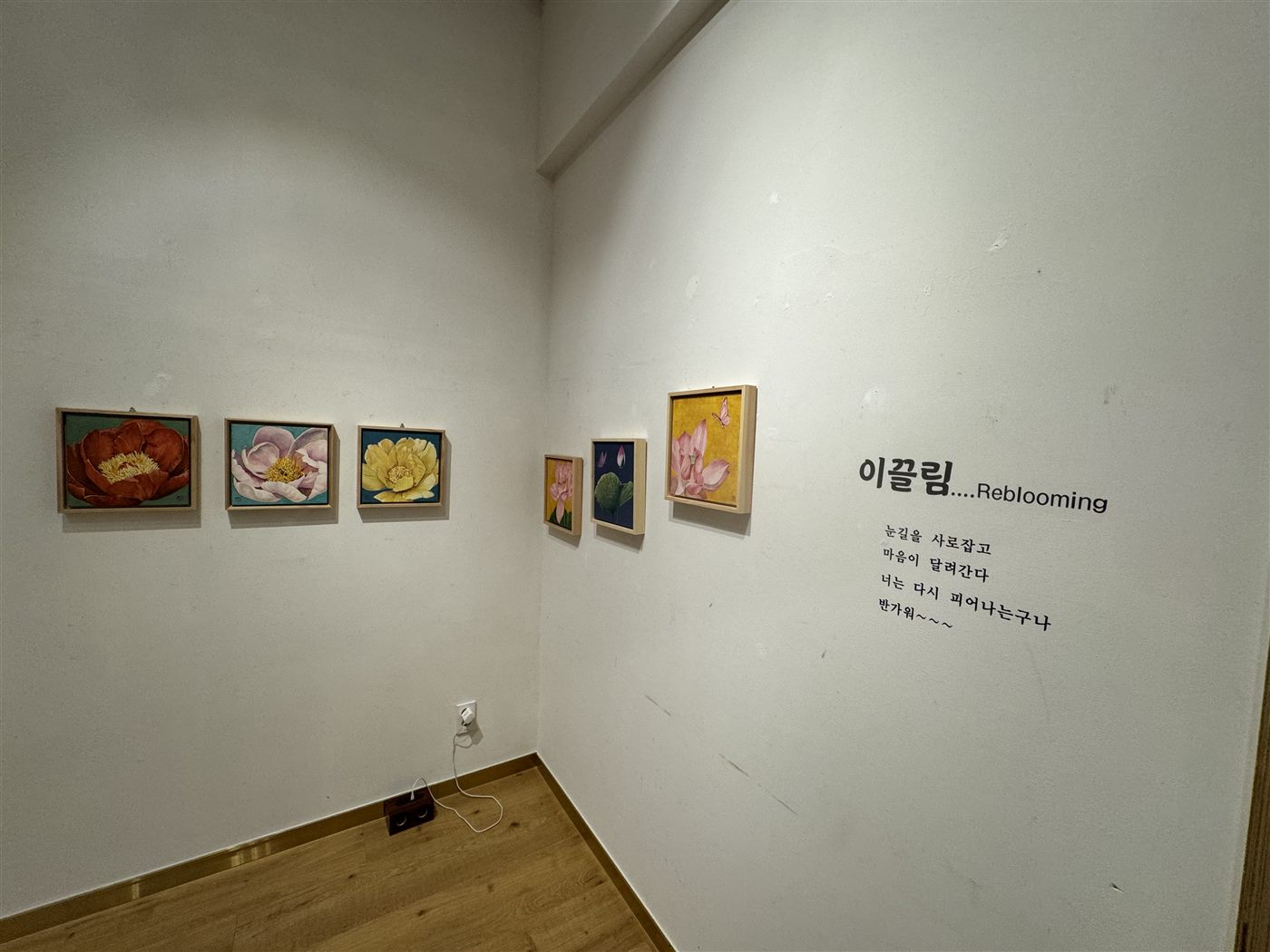 이끌림 Rebooming 전시 벽면 글씨와 그 곁에 걸린 작약·연꽃 그림들