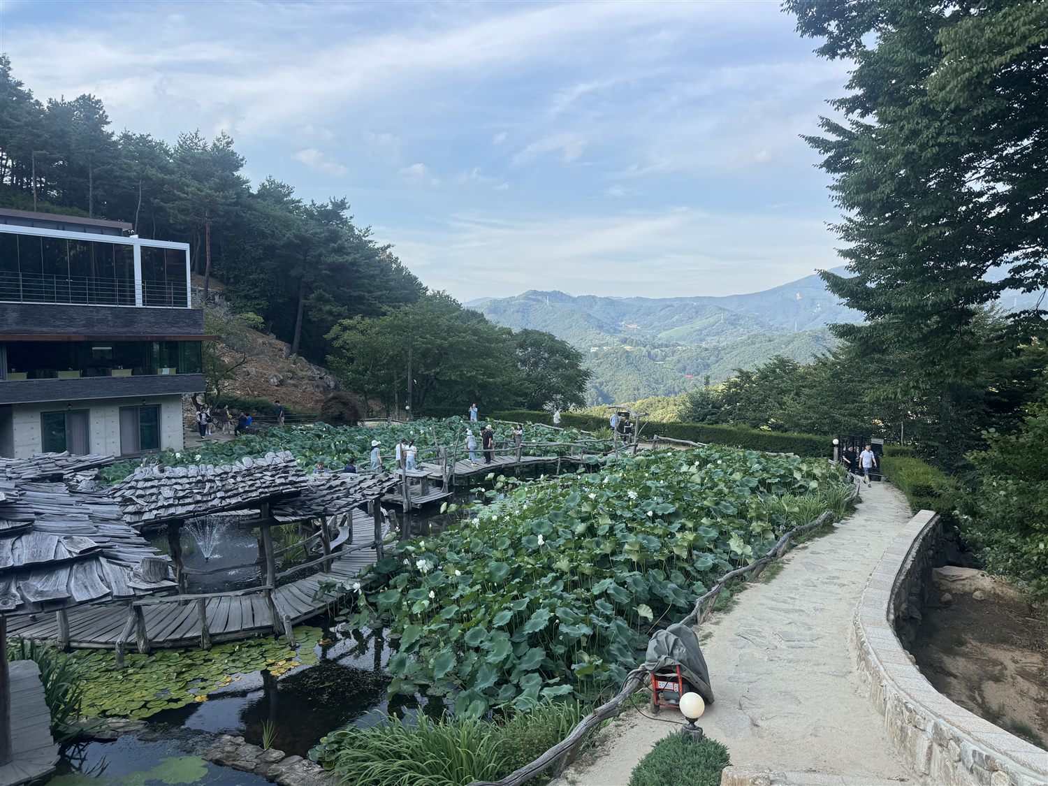 수선사 연꽃 연못 위 나무다리와 그 너머로 겹겹이 펼쳐진 지리산 능선